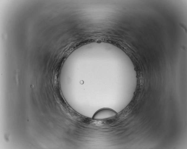 X0000100490611200806130757