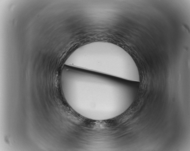 X0000100490612200806130757
