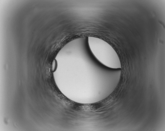 X0000100490615200806130757