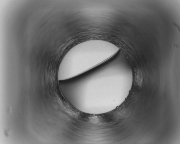 X0000100490616200806130757