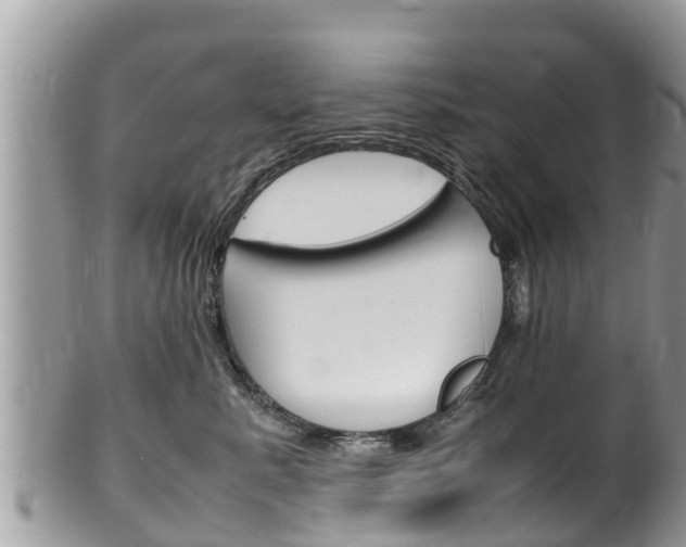 X0000100490619200806130757