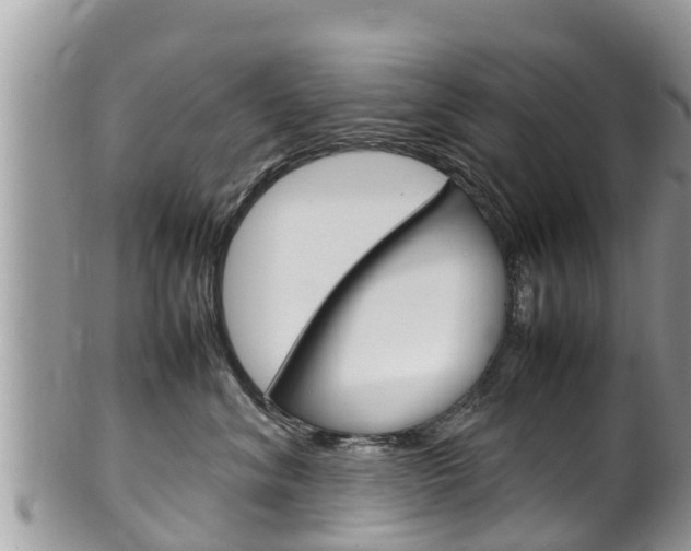 X0000100490620200806130757