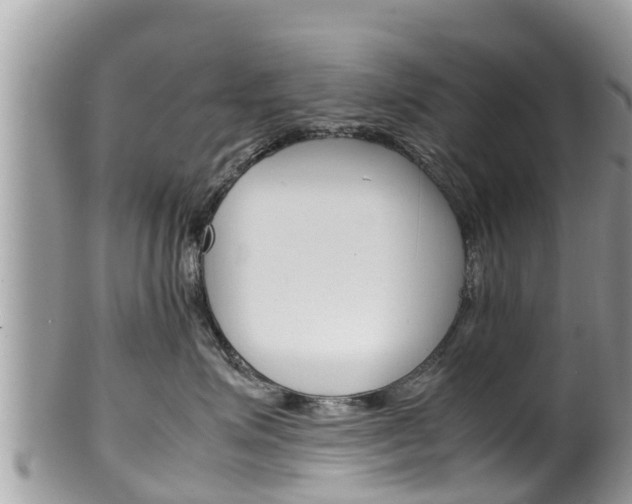X0000100490623200806130756
