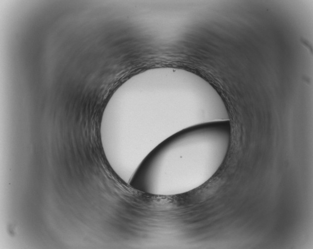 X0000100490624200806130756