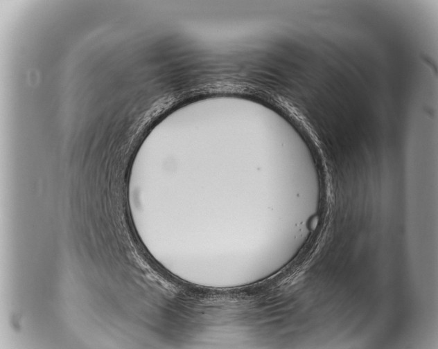 X0000100490625200806130756