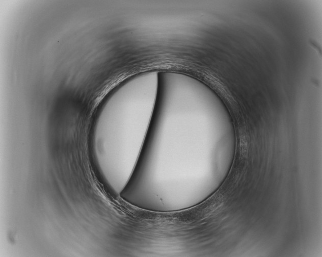 X0000100490626200806130756