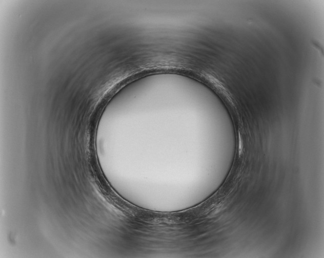 X0000100490627200806130756