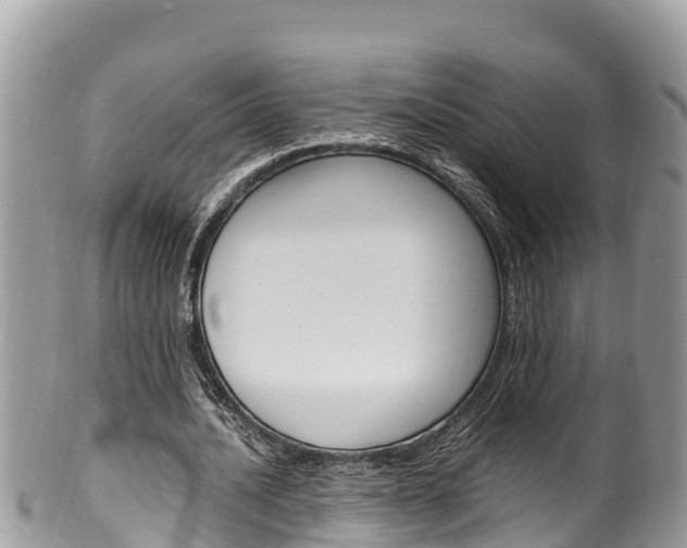 X0000100490628200806130756