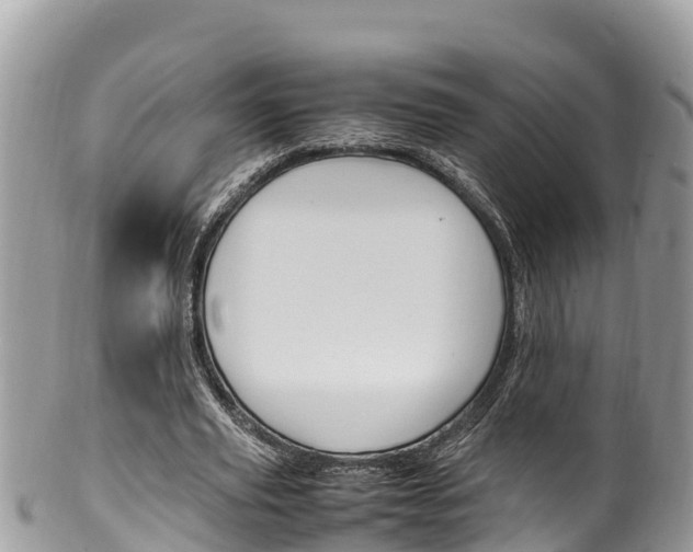 X0000100490629200806130756