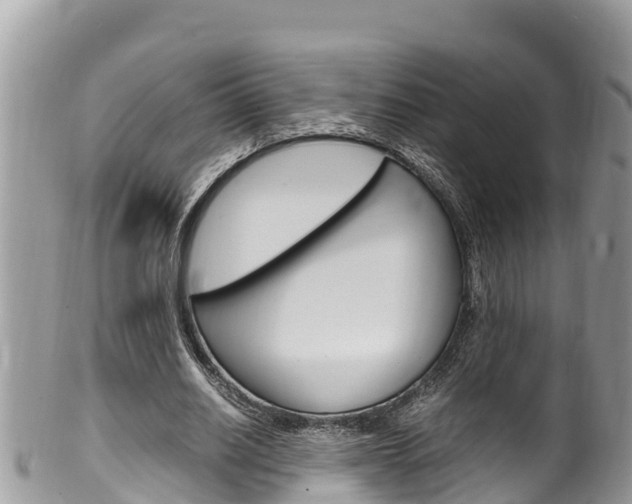 X0000100490630200806130756