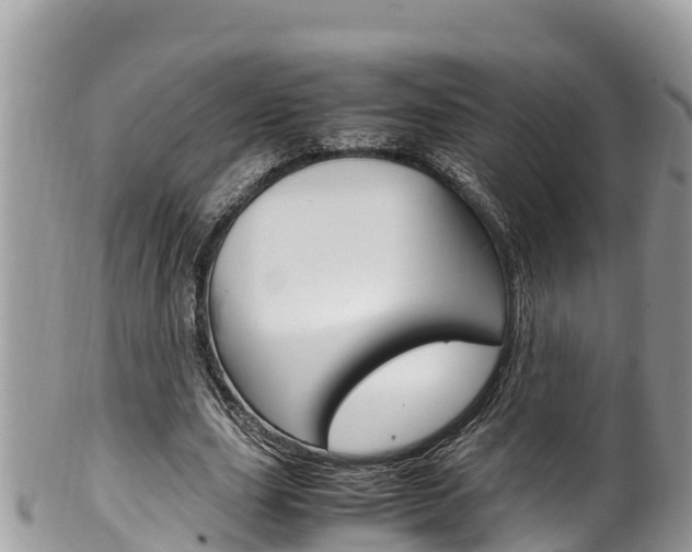 X0000100490631200806130756