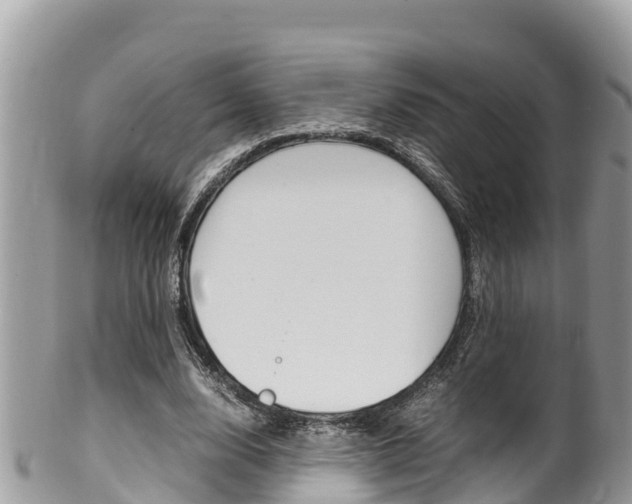 X0000100490632200806130756