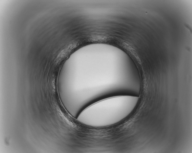 X0000100490633200806130756