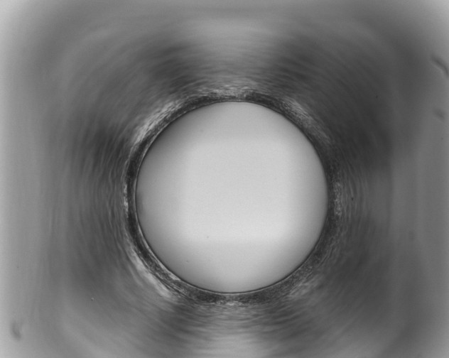 X0000100490634200806130756