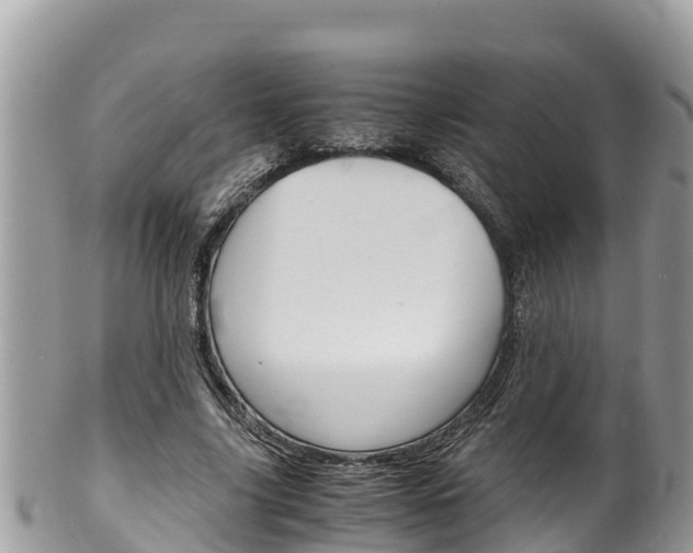 X0000100490635200806130756