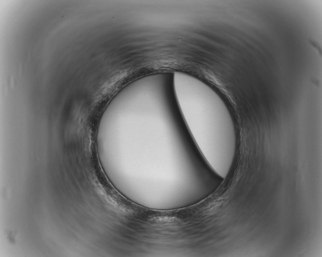 X0000100490637200806130756