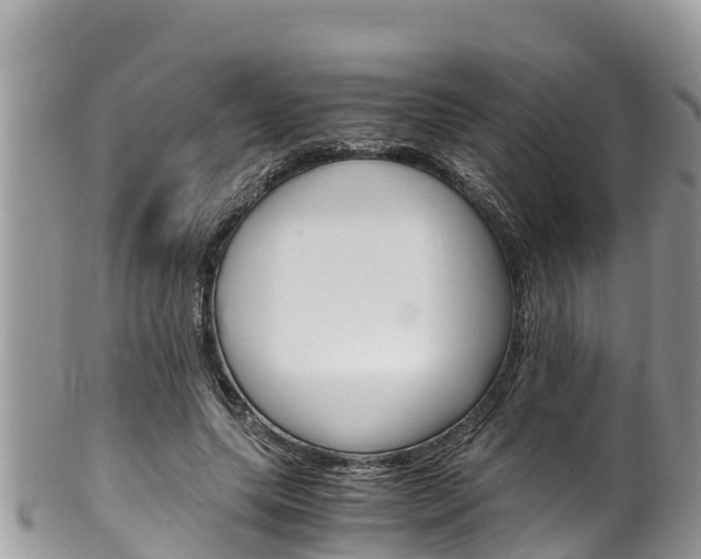 X0000100490639200806130756