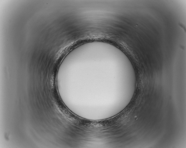 X0000100490640200806130756