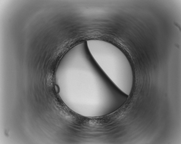 X0000100490641200806130756
