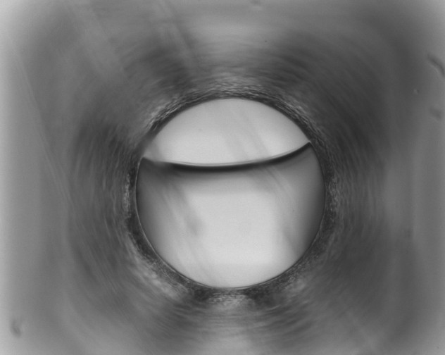 X0000100490642200806130756