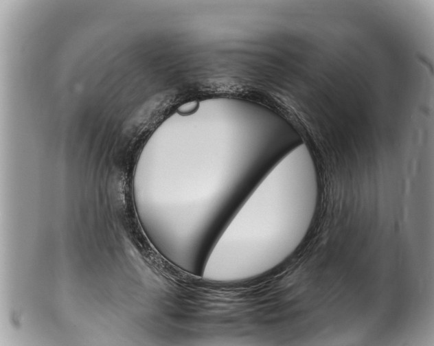 X0000100490643200806130756