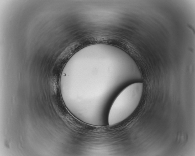 X0000100490644200806130756