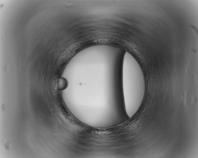 X0000100490645200806130756