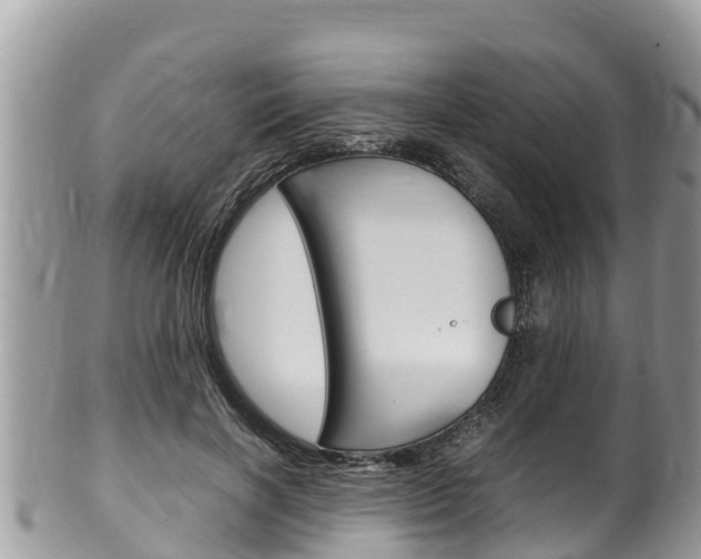X0000100490646200806130756