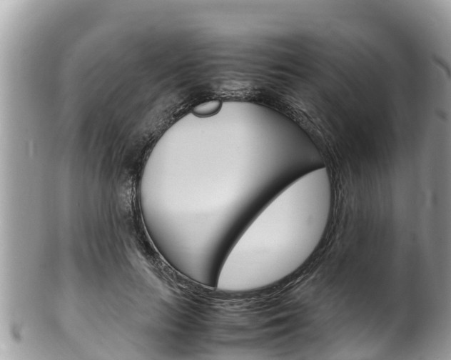 X0000100490647200806130756