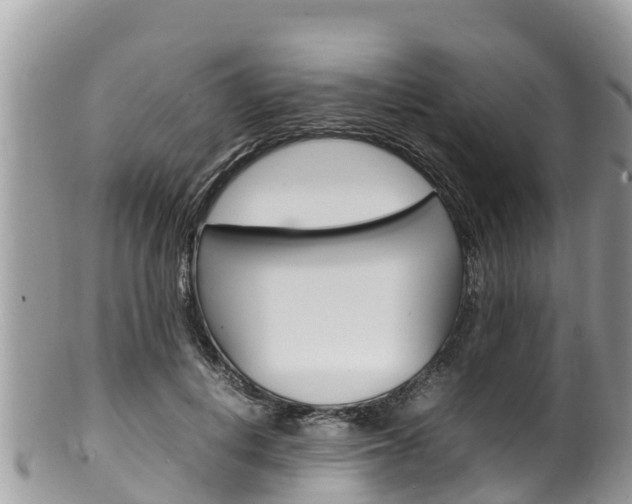 X0000100490648200806130756