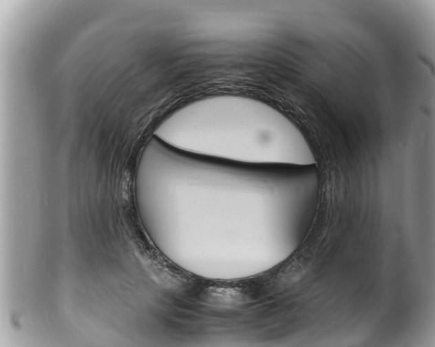X0000100490649200806130756
