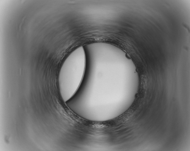 X0000100490650200806130756