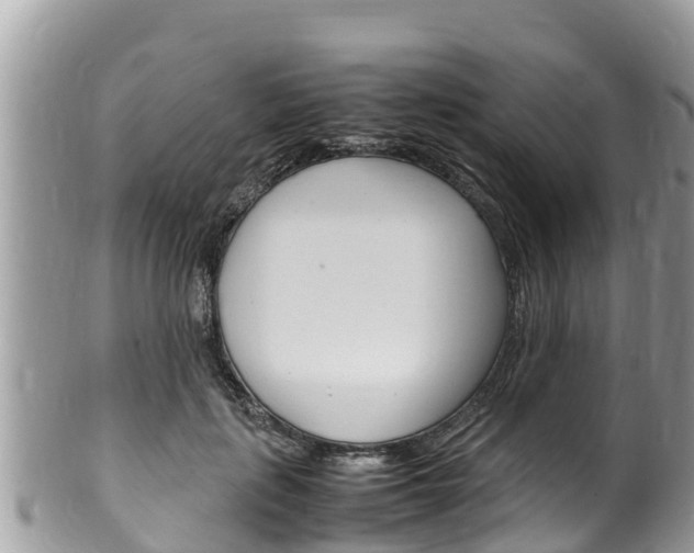 X0000100490651200806130756