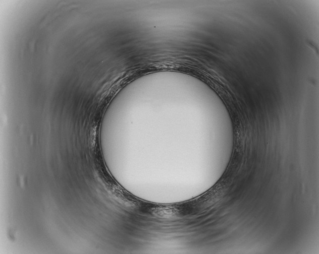 X0000100490652200806130756