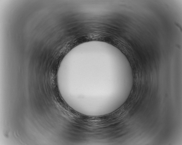 X0000100490653200806130756
