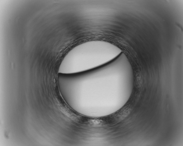 X0000100490654200806130756