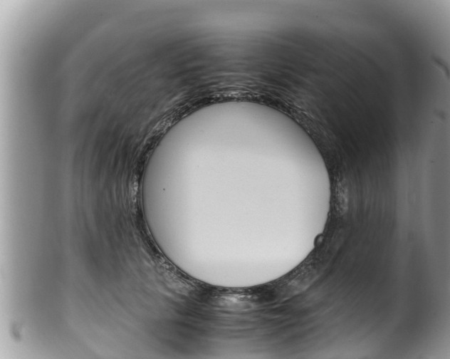 X0000100490657200806130756