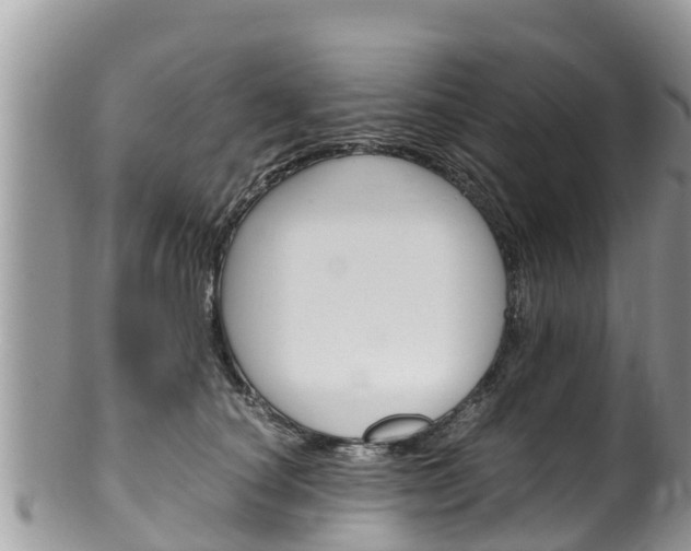 X0000100490660200806130756