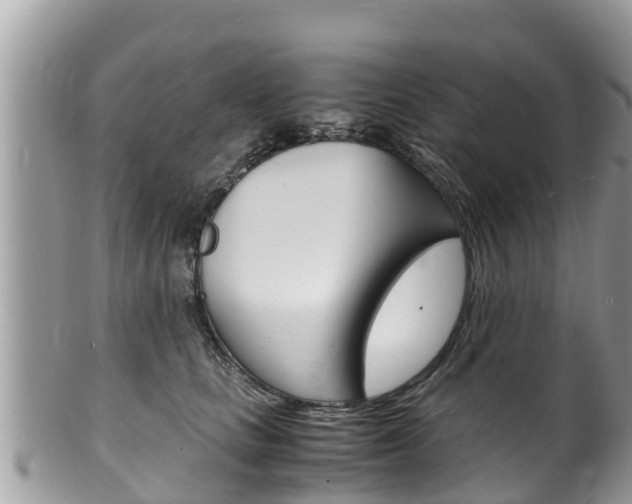 X0000100490661200806130756