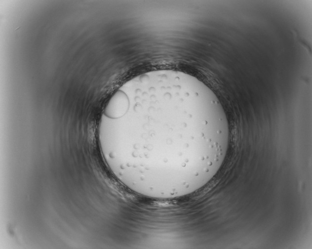 X0000100490662200806130756