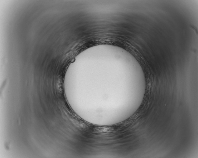 X0000100490663200806130756