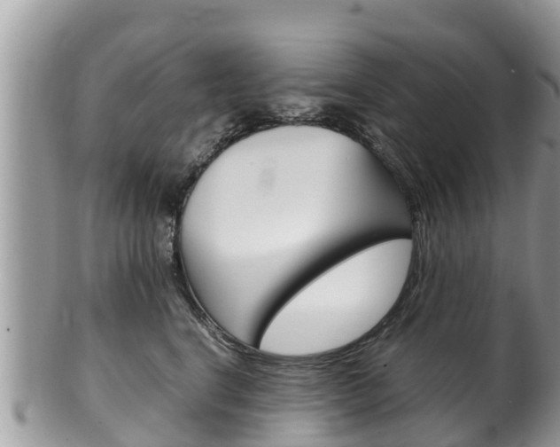 X0000100490664200806130756