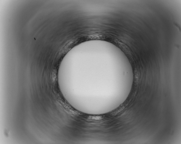 X0000100490665200806130756