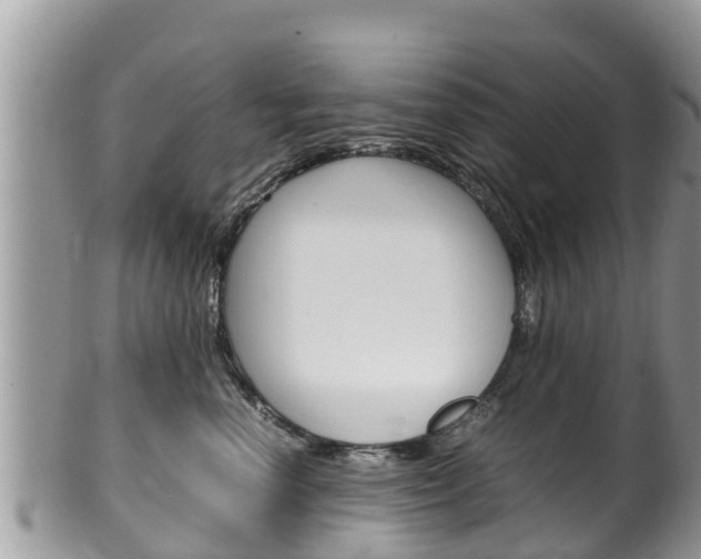 X0000100490666200806130756