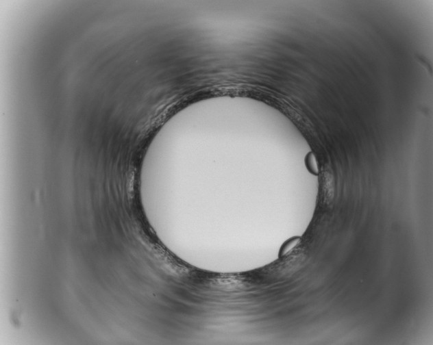 X0000100490668200806130756