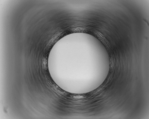 X0000100490669200806130756