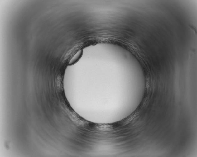 X0000100490670200806130756