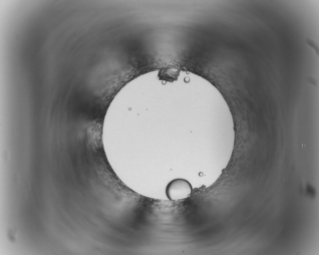 X0000100490672200806130756