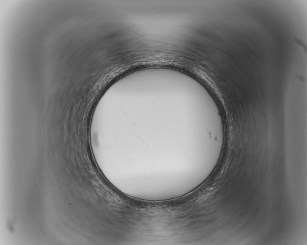 X0000100490673200806130756