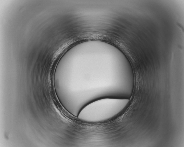X0000100490674200806130756